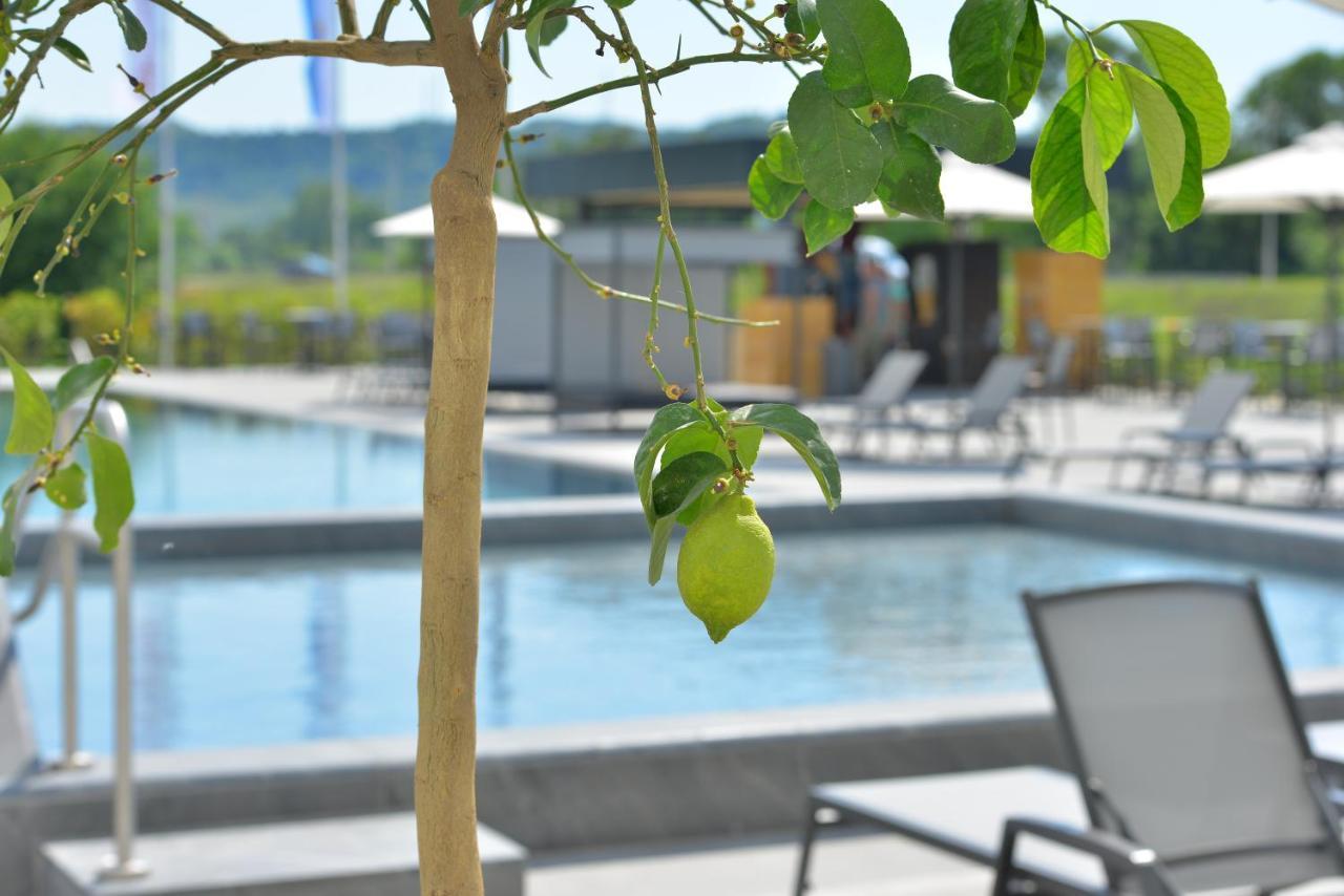 Mk Hotel Tirana Rinas Exteriér fotografie The swimming pool